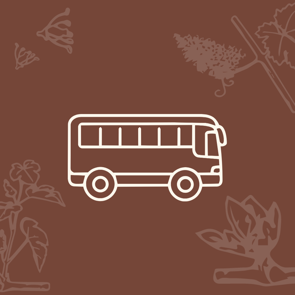 Bus Transfer - Flowering of the Vine