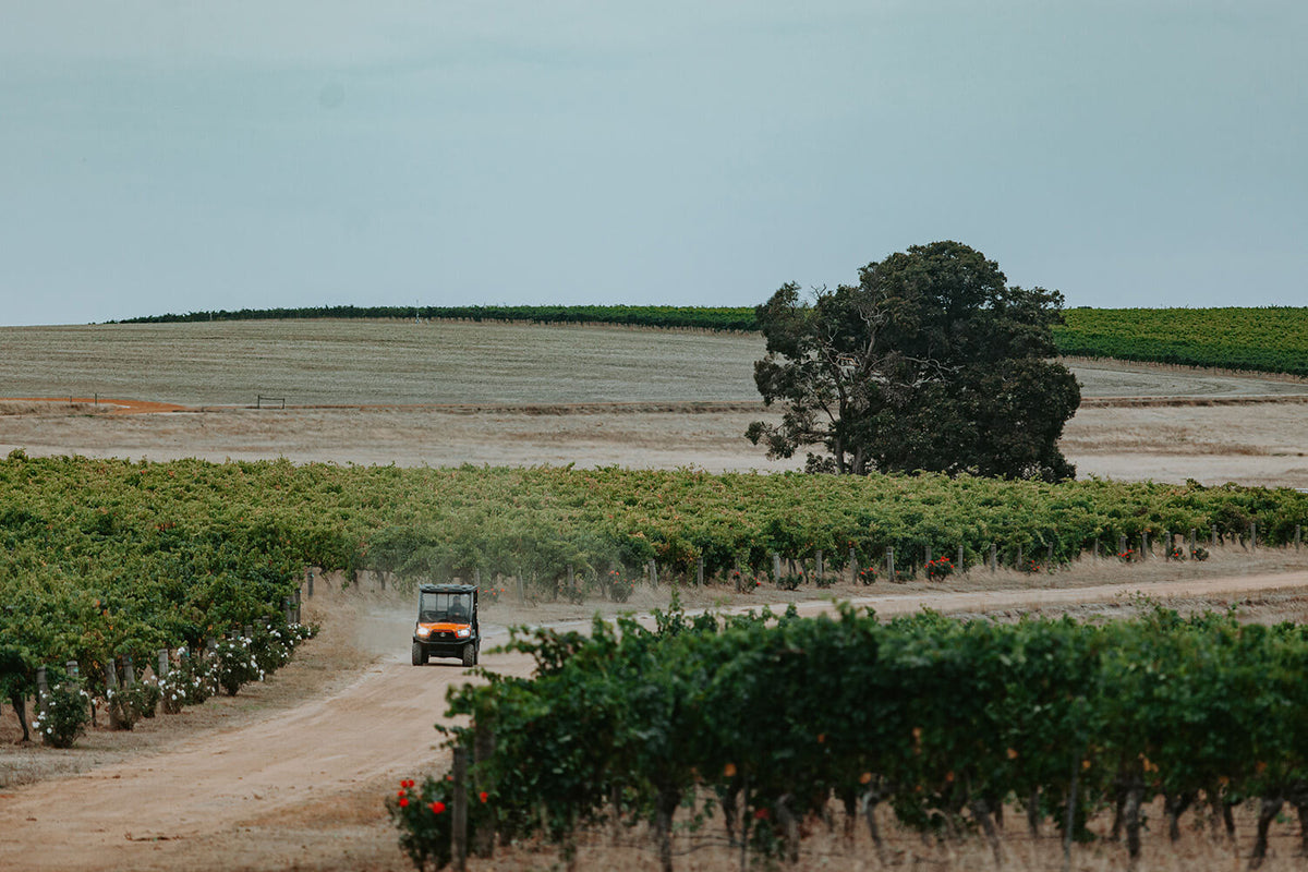 Frankland Estate has emerged as one of the great vineyards of Australia-Huon Hooke