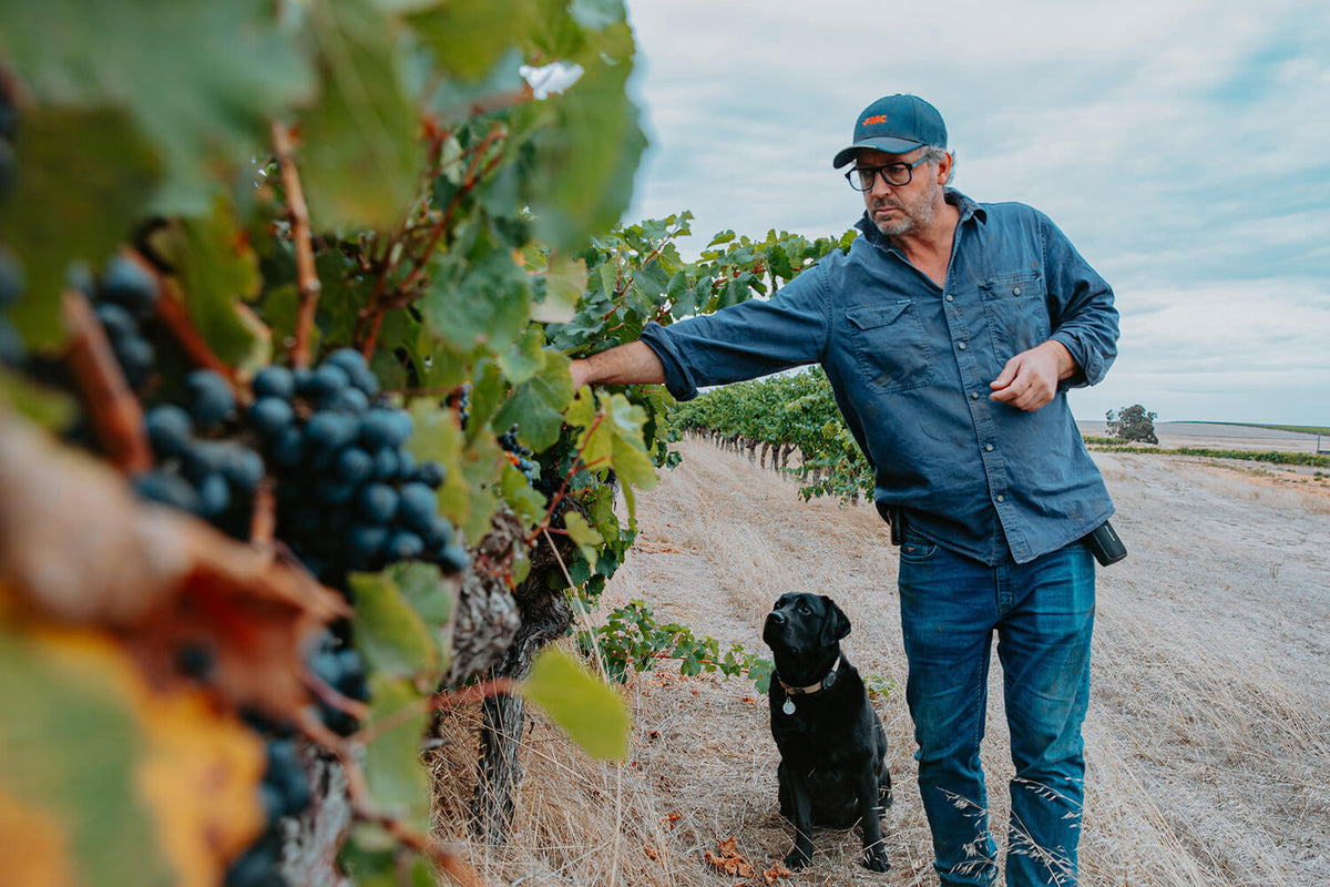 Vineyard Moments